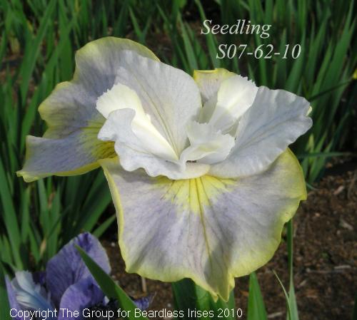 S07- 62-10
